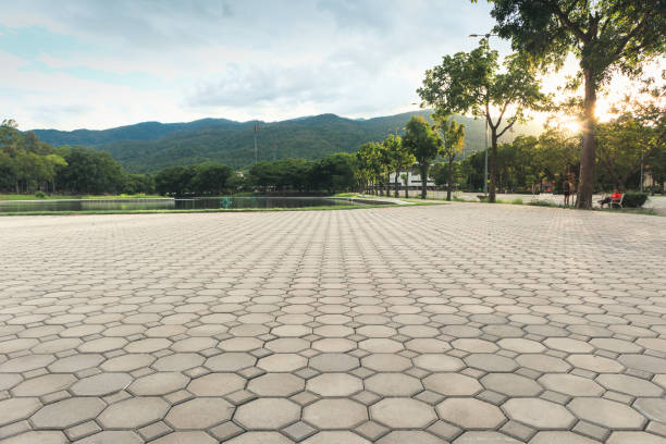 Paver Driveway Replacement in Millington, MI