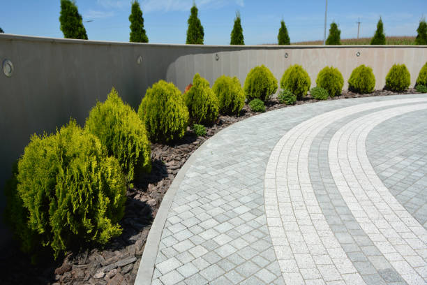 Best Driveway Paving Contractor  in Llington, MI